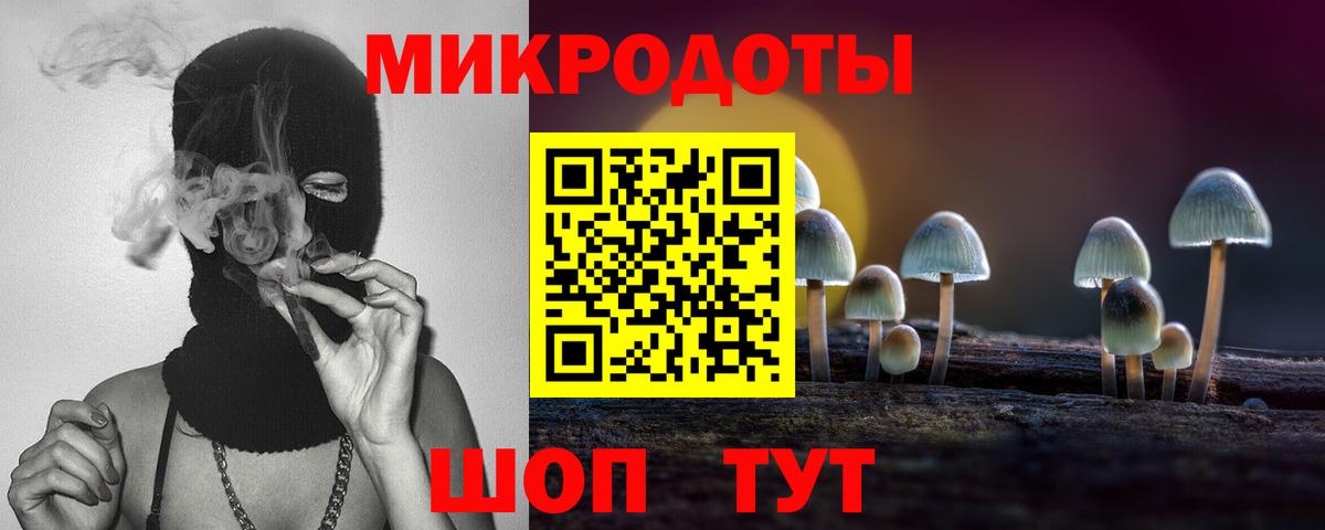 Галлюциногенные грибы Cubensis  Галлюциногенные грибы Psilocybine cubensis  Сланцы  Вход с VPN 